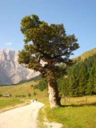 2013-09-07_1Eng (013).JPG